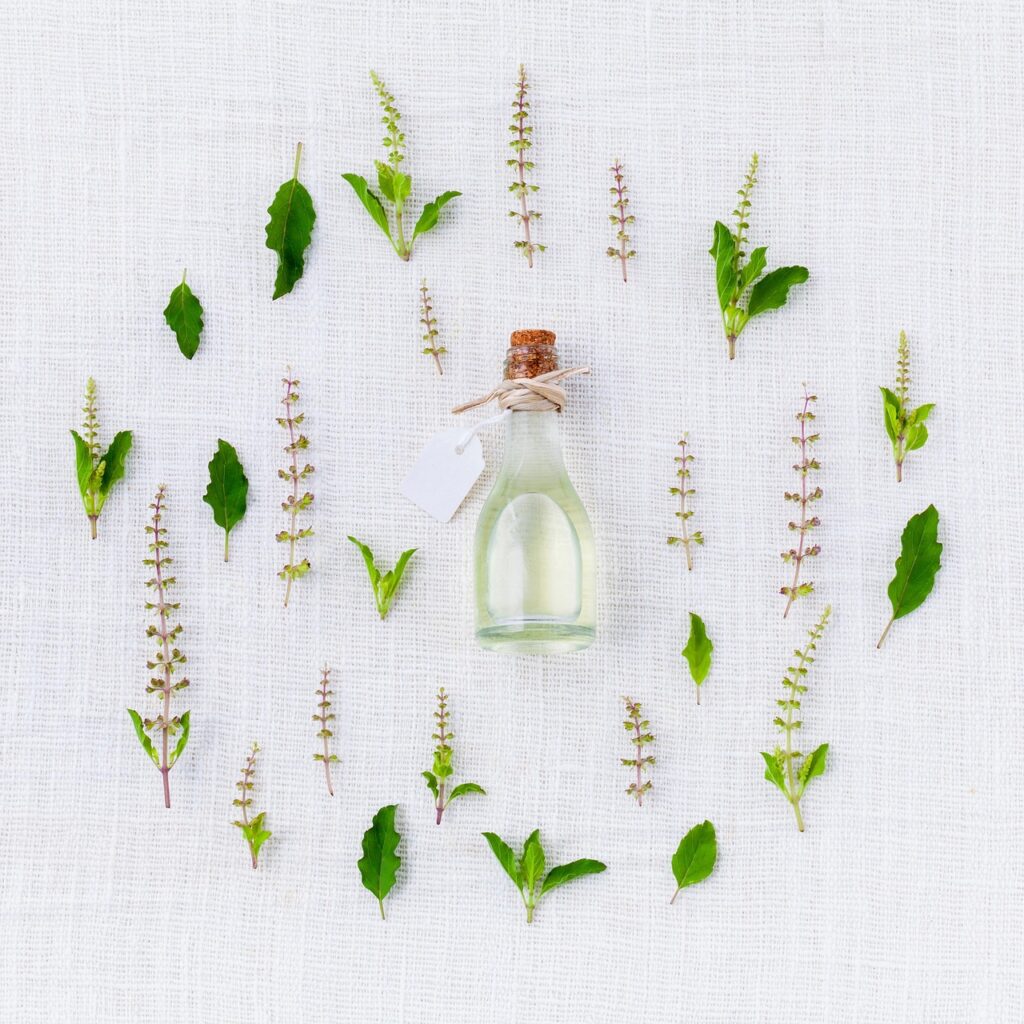 Perfumes Creed: análisis detallado, experiencia y dónde comprar originales